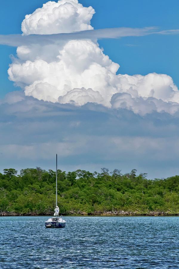 Clouds Over the Mangroves in Key West Photograph by Bob Slitzan