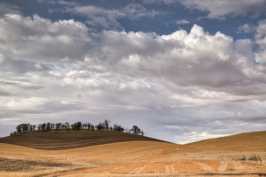 Clouds Over the Palouse Photograph by Emil Davidzuk - Fine Art America