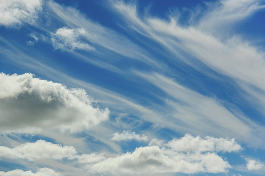 Clouds Painted in the Blue Sky Photograph by Joni Eskridge