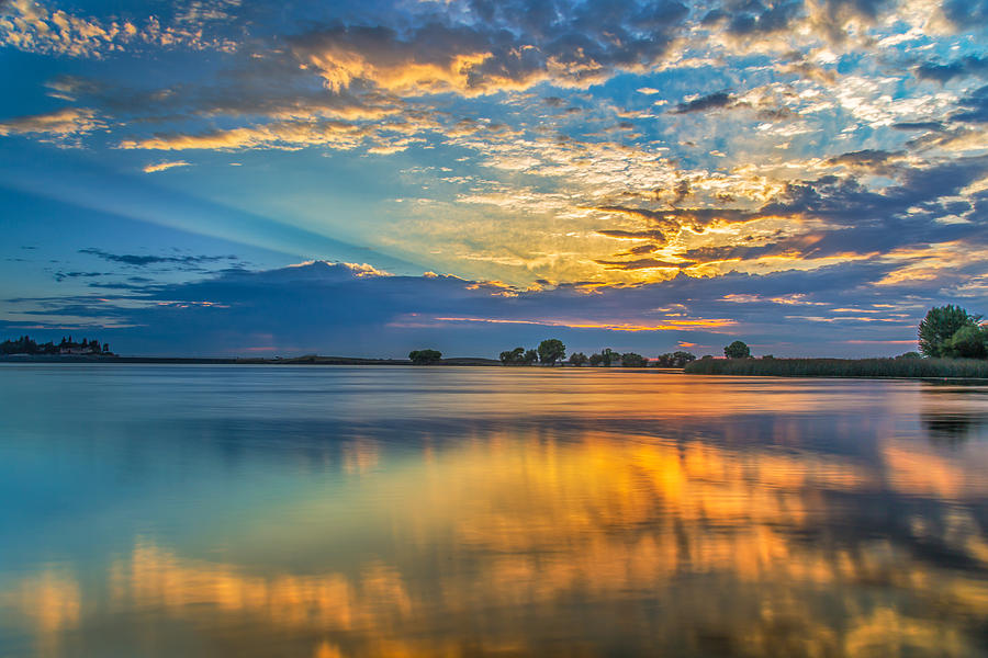 Tree Photograph - Clouds Reflected At Sunrise by Marc Crumpler