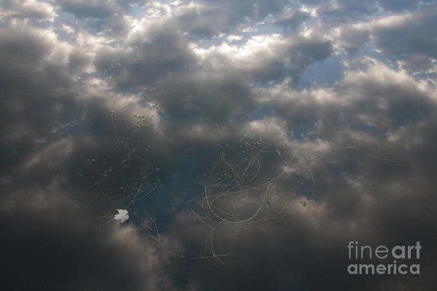 Clouds Reflected on Water on a Lake Photograph by William Kuta