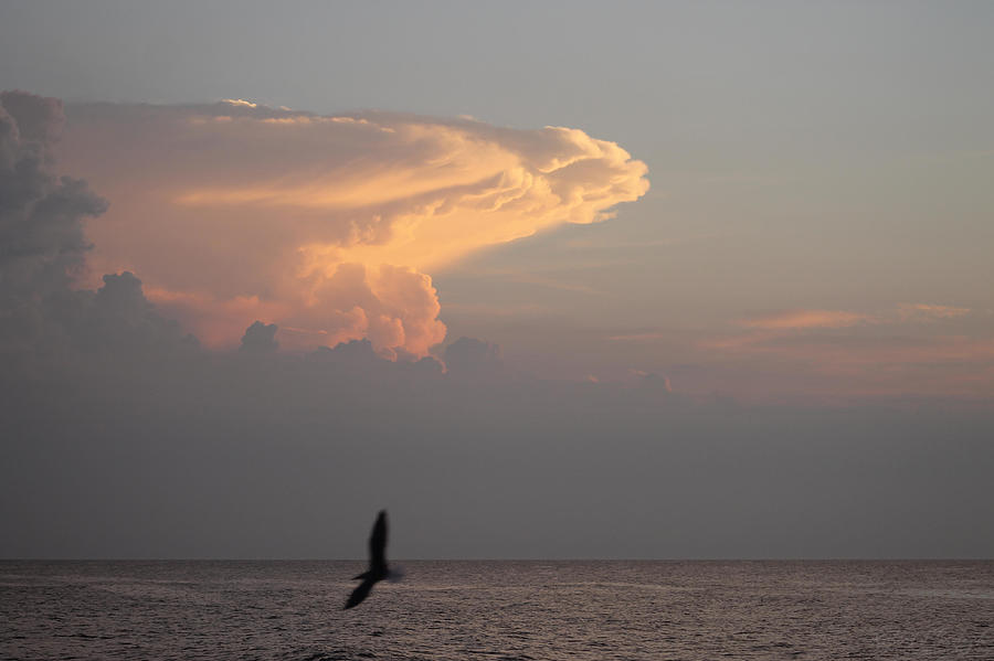 Clouds Signalling Dawn Photograph by Robert Banach
