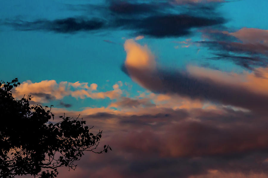 Clouds Sky and Trees at Sunset Photograph by Robert Ullmann