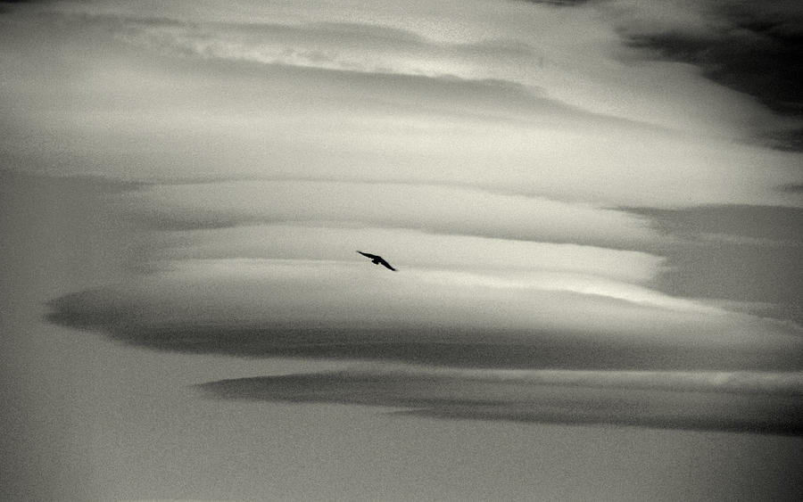 Black And White Photograph - Clouds to Heaven.. by Al Swasey