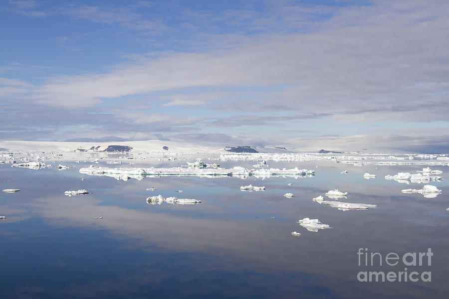 Cloudscape reflecting in Antarctic Sound 1 Photograph by Karen Foley