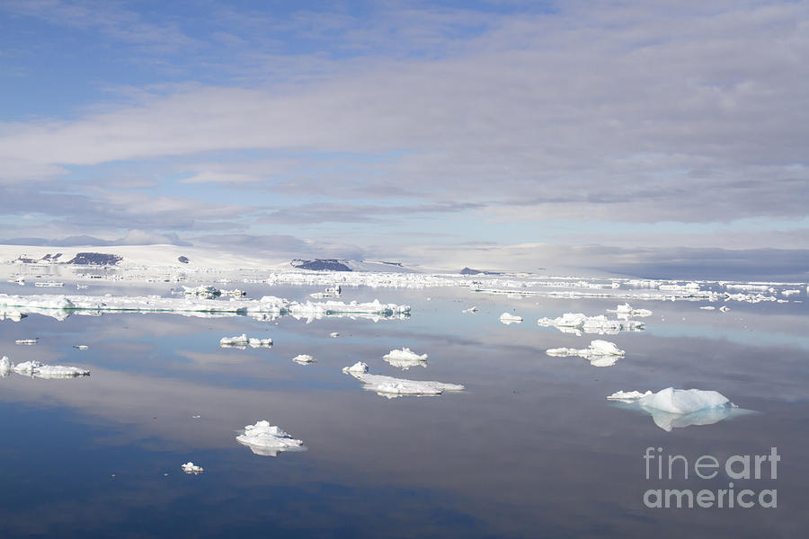 Cloudscape reflecting in Antarctic Sound 2 Photograph by Karen Foley