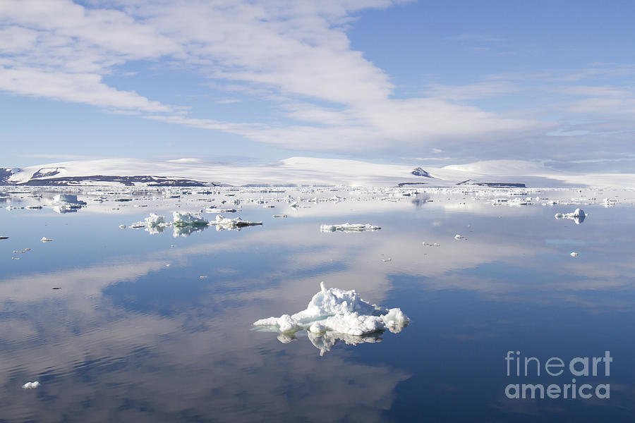 Cloudscape reflecting in Antarctic Sound 4 Photograph by Karen Foley