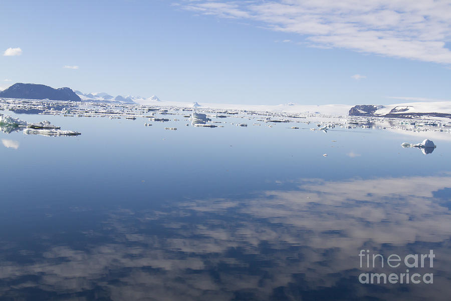 Cloudscape reflecting in Antarctic Sound 5 Photograph by Karen Foley