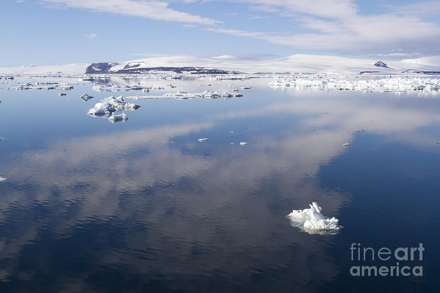 Cloudscape reflecting in Antarctic Sound 7 Photograph by Karen Foley