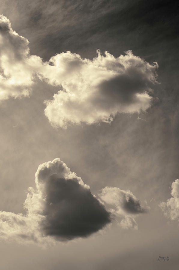 Cloudscape XI Toned Photograph by David Gordon
