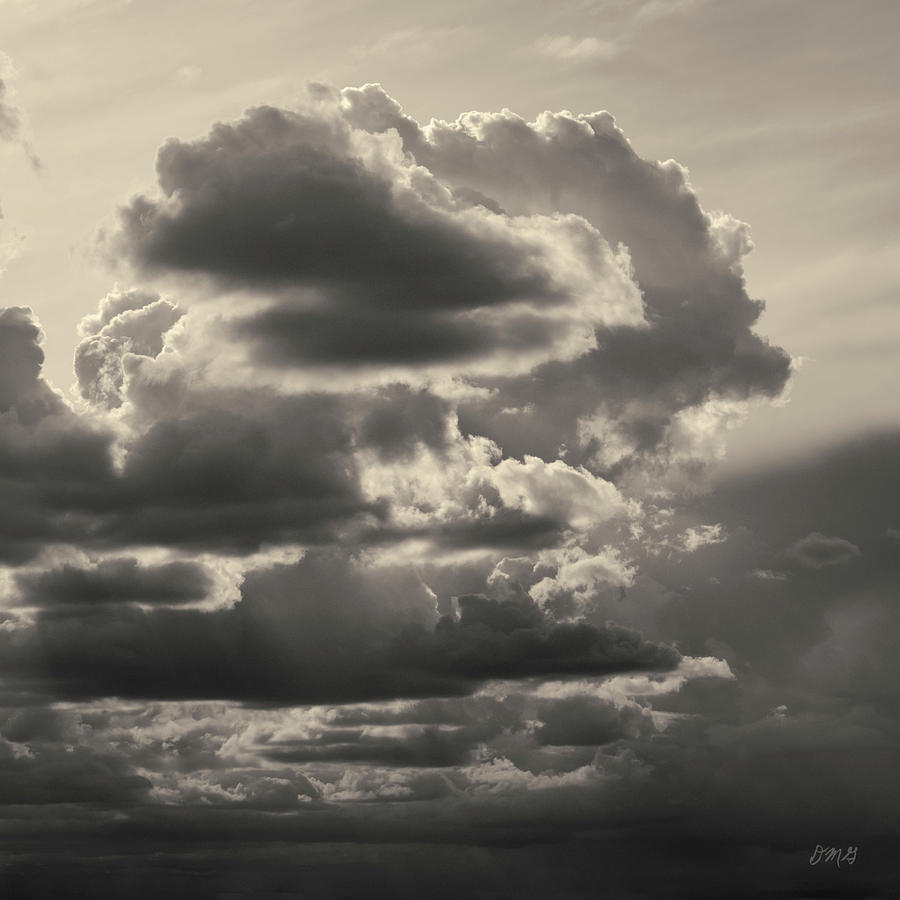 Cloudscape XV Toned SQ Photograph by David Gordon
