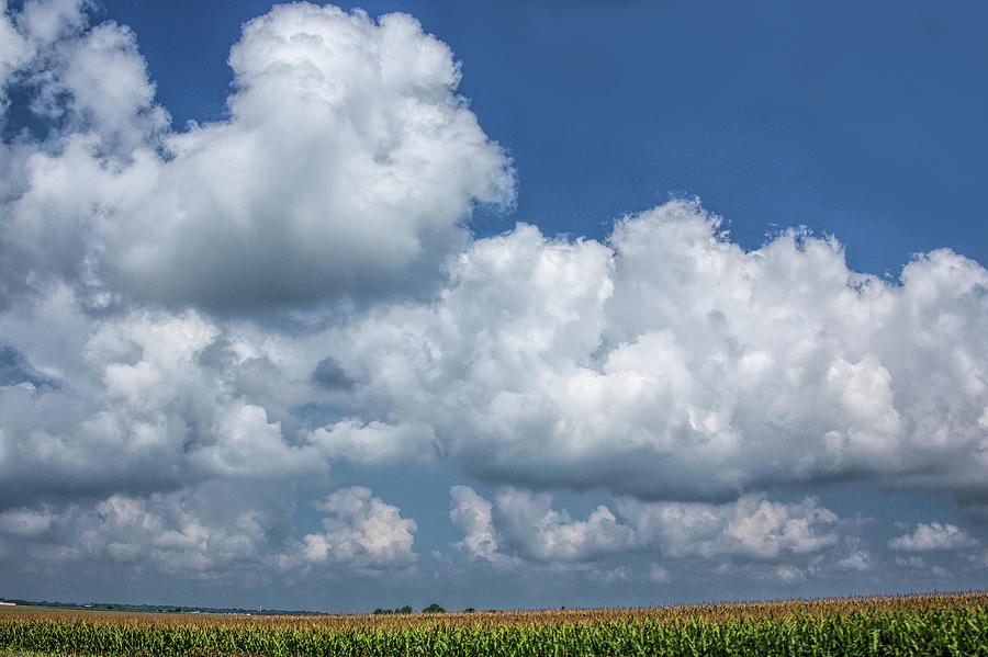Cloudy Blue Sky over a Cornfield in Iowa Photograph by Randall Nyhof