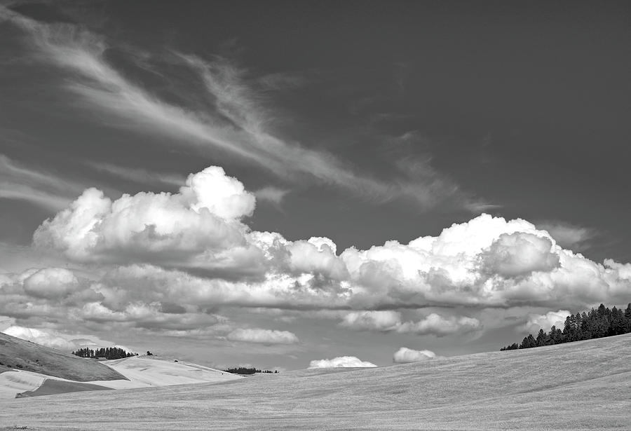 Cloudy Day Photograph by Doug Davidson Cloudy Day Photograph by Doug Davidson