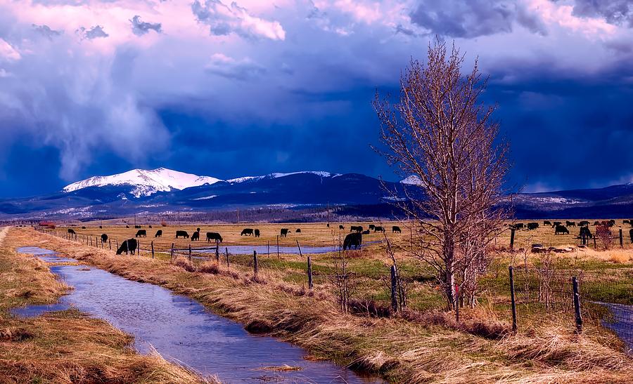 Cloudy Day In Colorado Photograph by Mountain Dreams