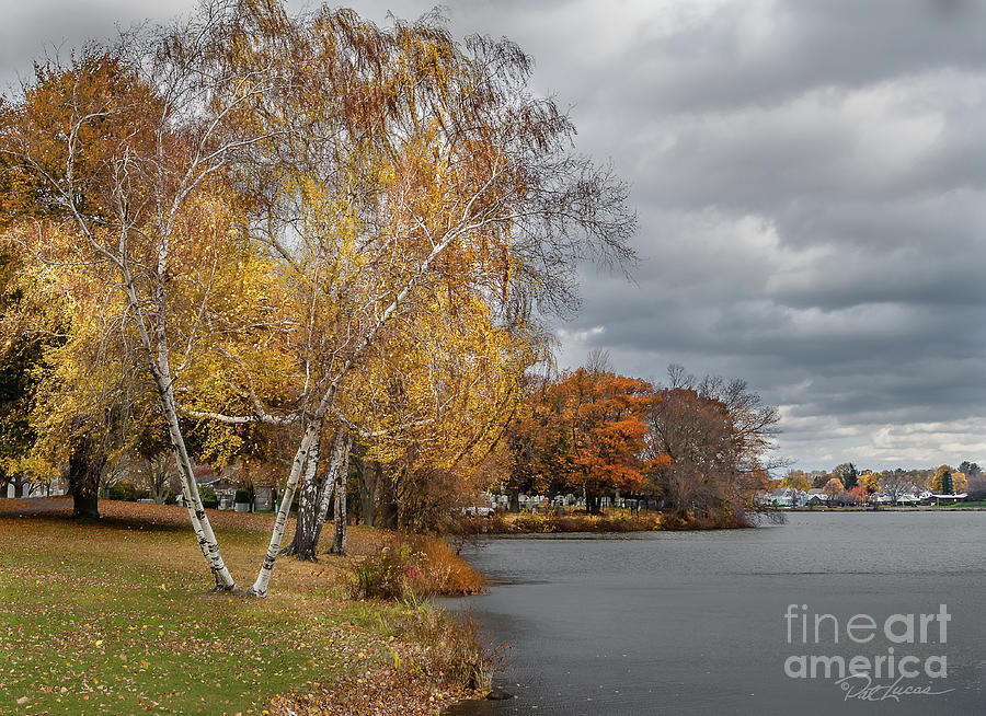 Cloudy Day In The Fall Photograph By Pat Lucas