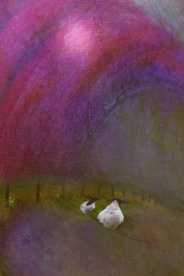 Cloudy Day Sheep Digital Art by Jean Moore