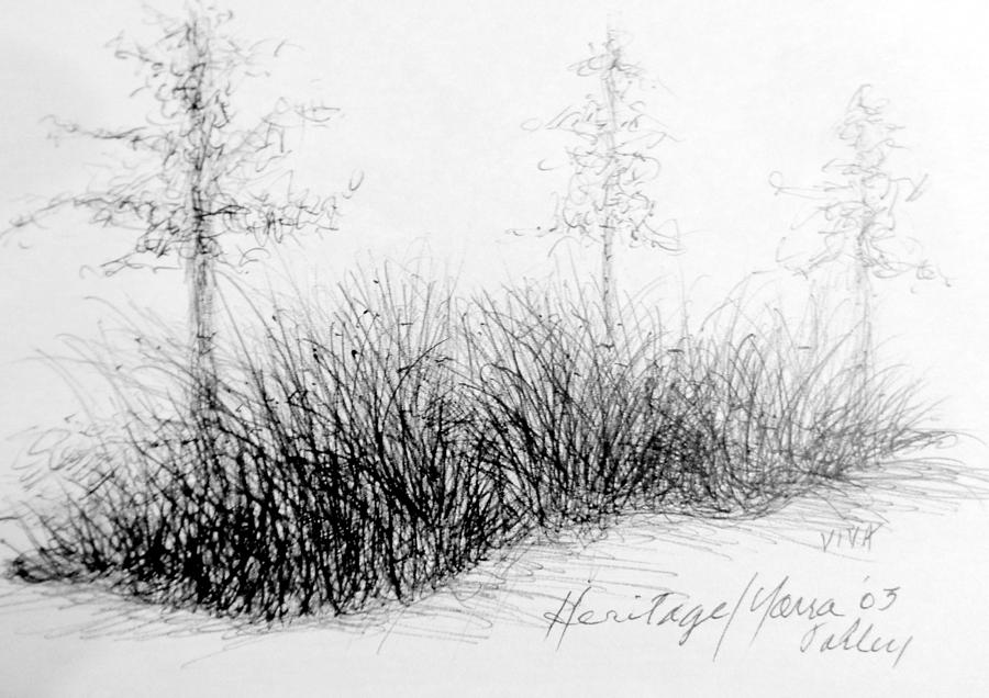 Cloudy Day - Yarra  Valley  Grasses Drawing by VIVA Anderson