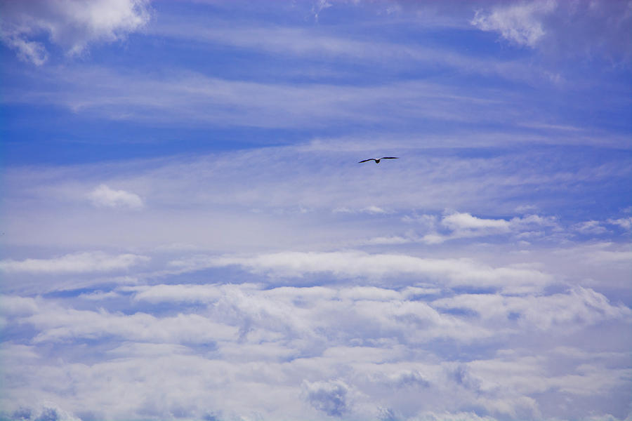 Cloudy Heaven Photograph by Jeannie Like - Fine Art America