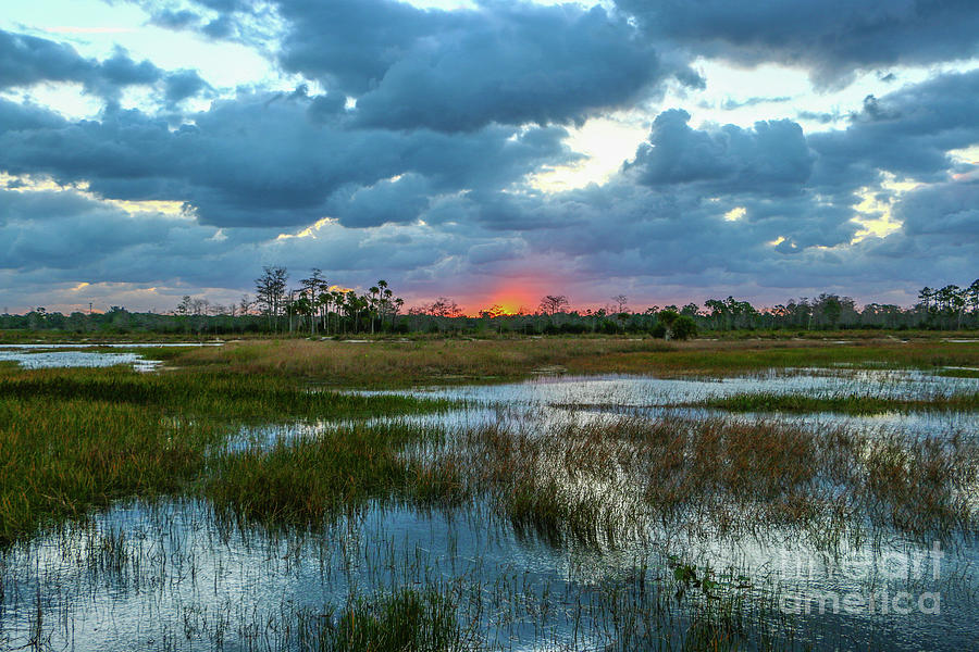 Cloudy Marsh Sunrise Photograph by Tom Claud