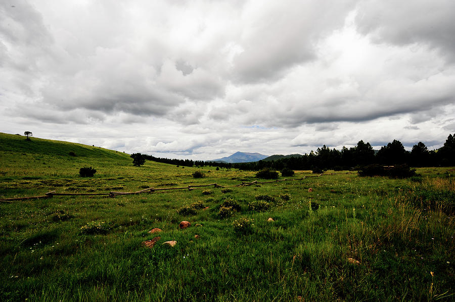 Cloudy Meadow Photograph by Scott Sawyer