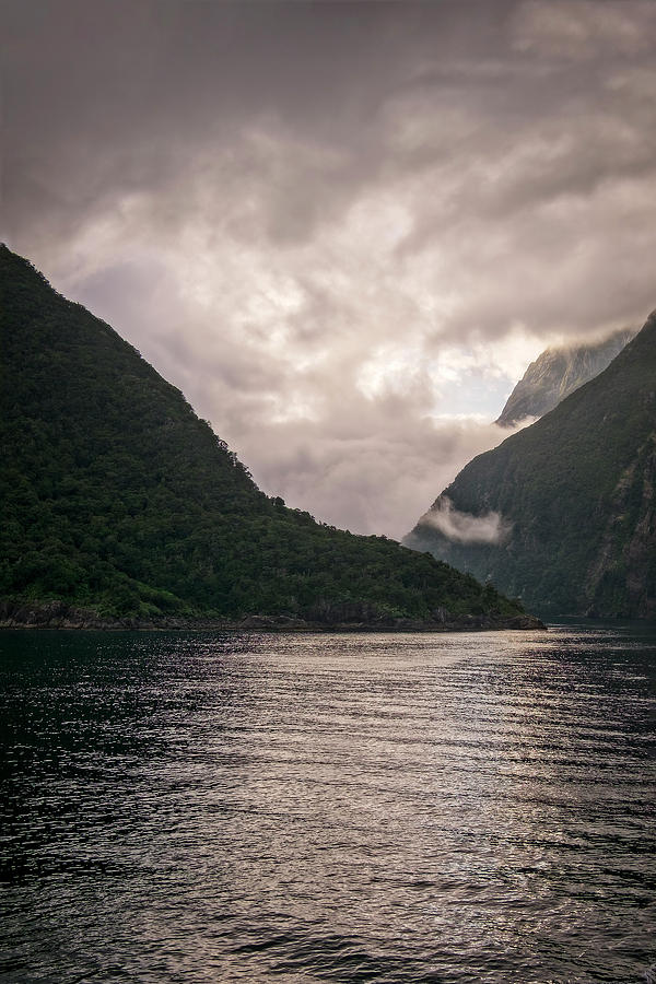 Cloudy Milford Sound Photograph by Catherine Reading