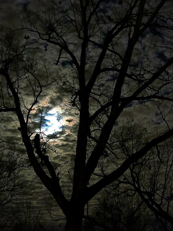Cloudy Moon Photograph by Betty Buller Whitehead
