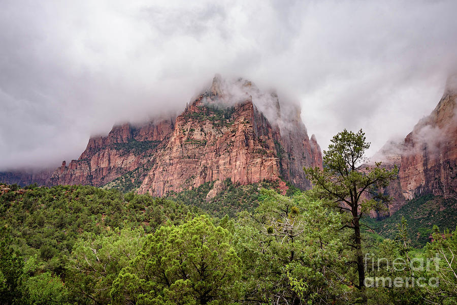 Cloudy Patriarch Photograph by Jeff Hubbard