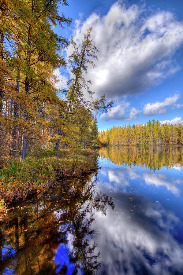 Cloudy Reflections Photograph by David Patterson