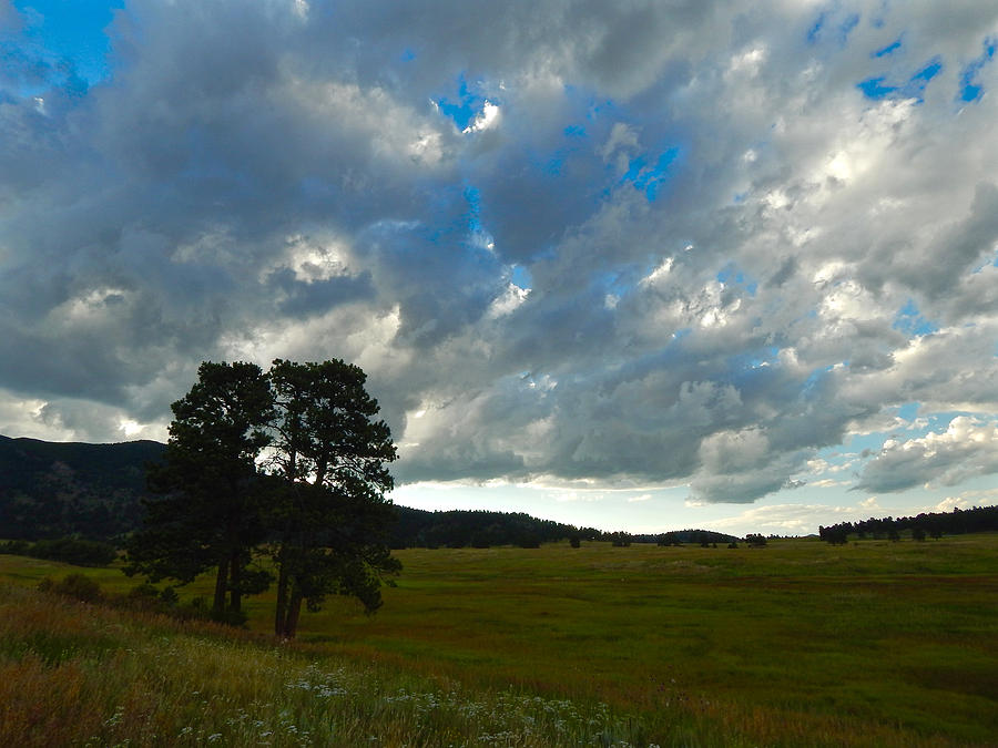 Cloudy Skies over the Meadow Photograph by Dan Miller