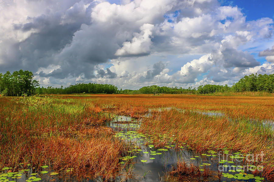 Cloudy Sky Over Marsh Photograph by Tom Claud