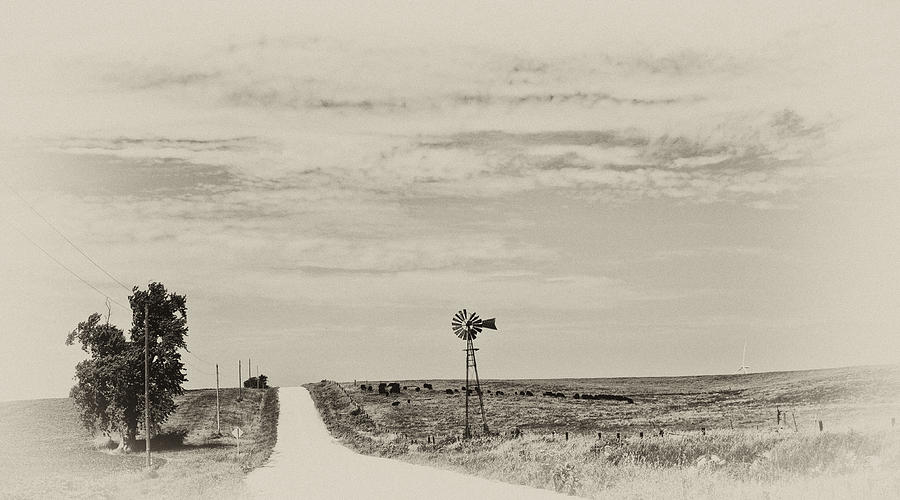 Landscape Photograph - Cloudy Skys and Dirt Roads by Wilma  Birdwell