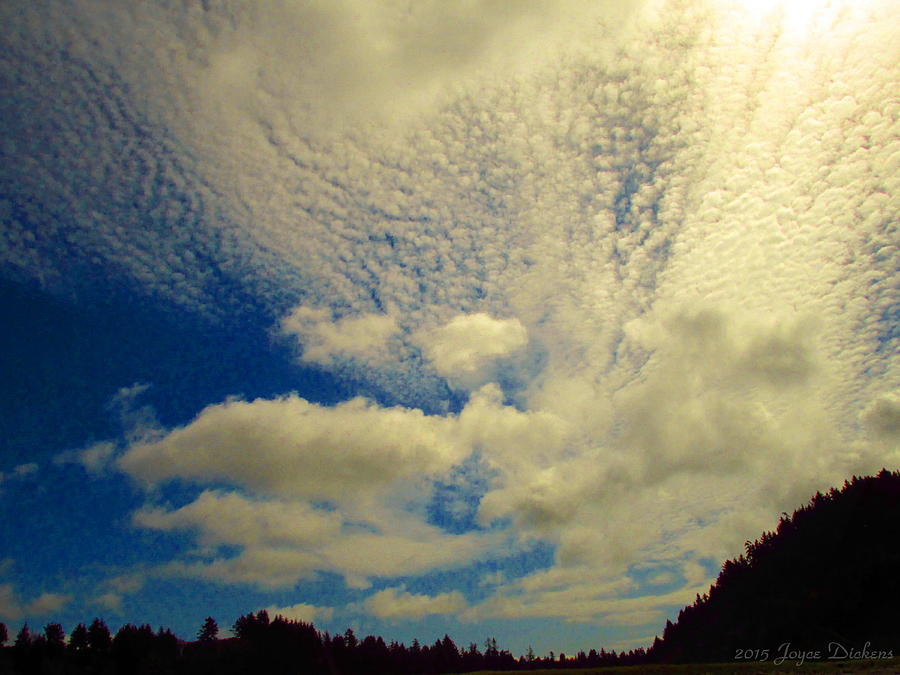 Cloudy Skyscape Photograph by Joyce Dickens