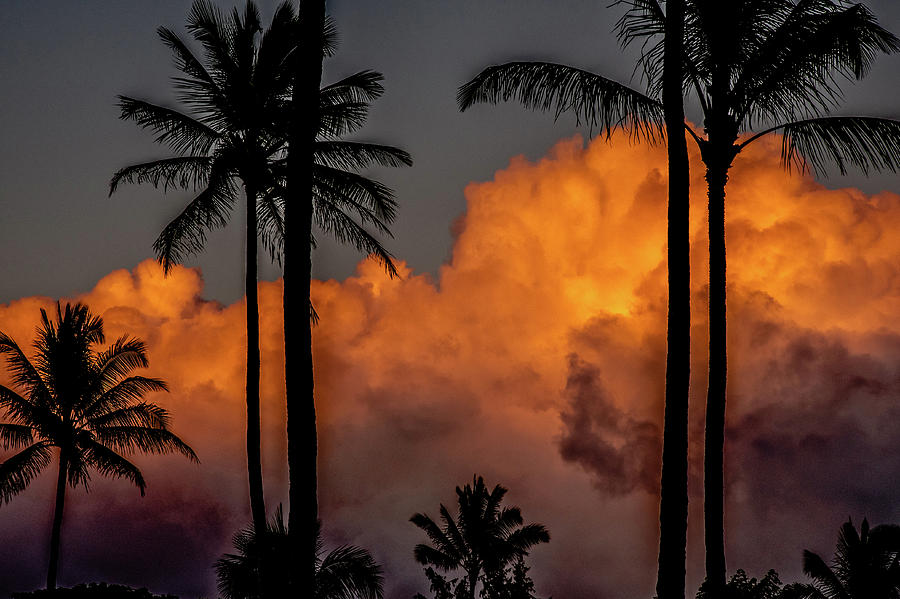 Cloudy sunset Photograph by Alan Hart