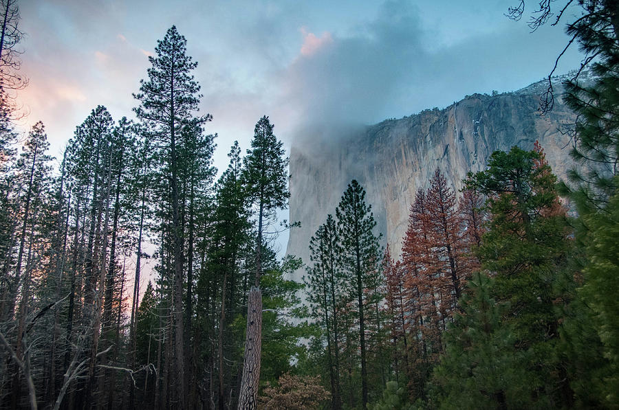 Cloudy Sunset on El Capitan Photograph by Connie Cooper-Edwards