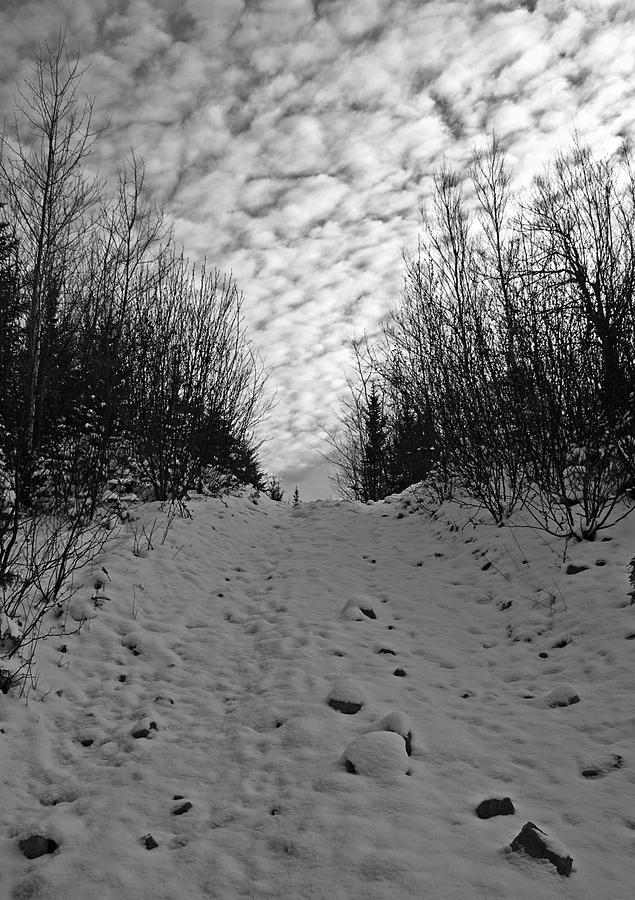 Cloudy Winter Trail Photograph by Jeff Galbraith