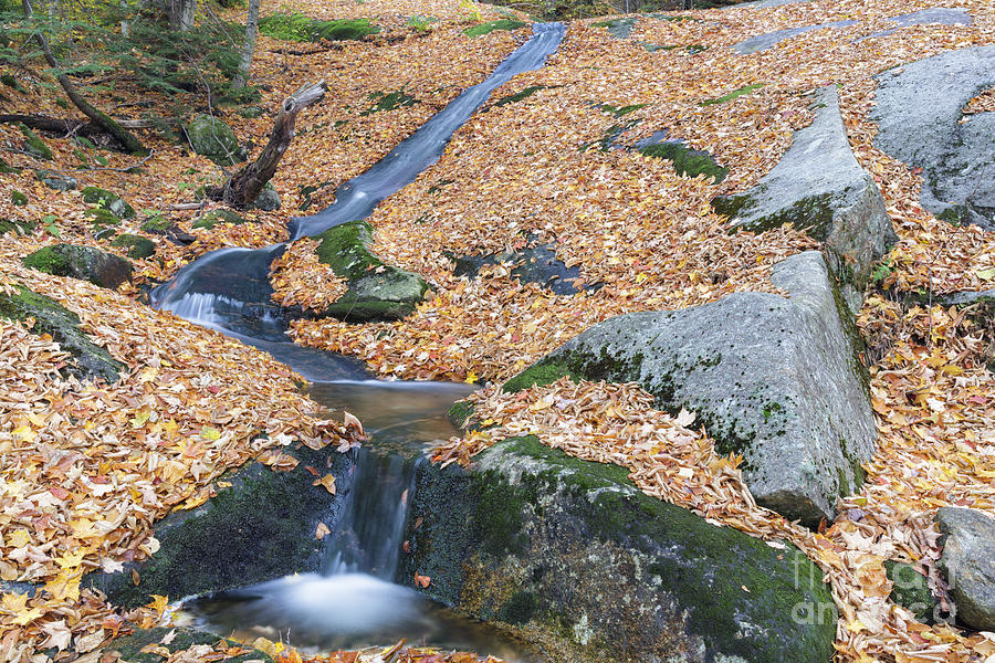 Nature Photograph - Clough Mine Brook - Woodstcok New Hampshire by Erin Paul Donovan
