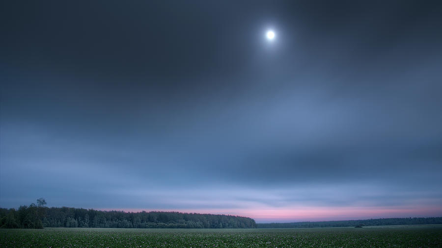 Clover field under moon Photograph by Alexey Kljatov