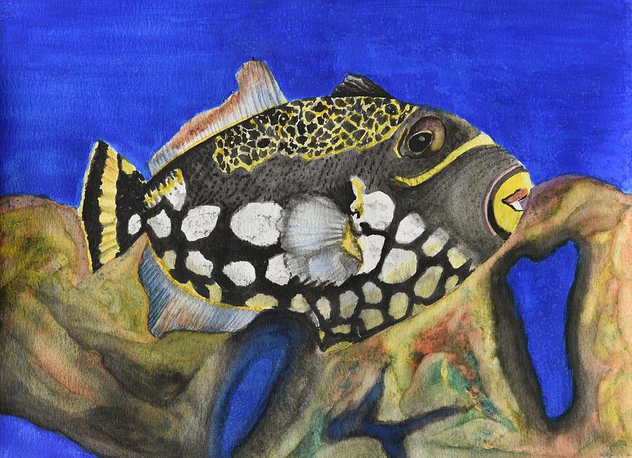 Clown Triggerfish Painting by Linda Brody