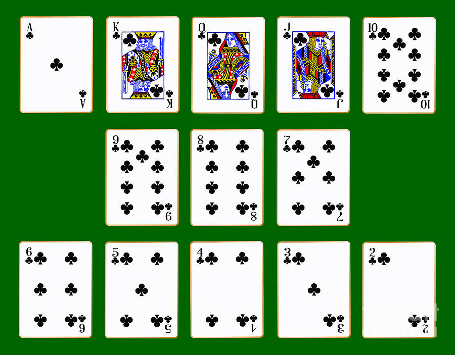Clubs in Cards. 5 Of Clubs Card.