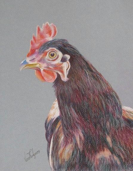 Chicken Drawing - Cluck cluck by Vera Rodgers