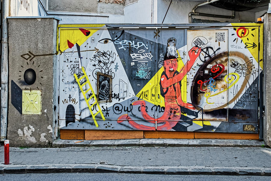 Cluj Graffiti - Romania Photograph by Stuart Litoff