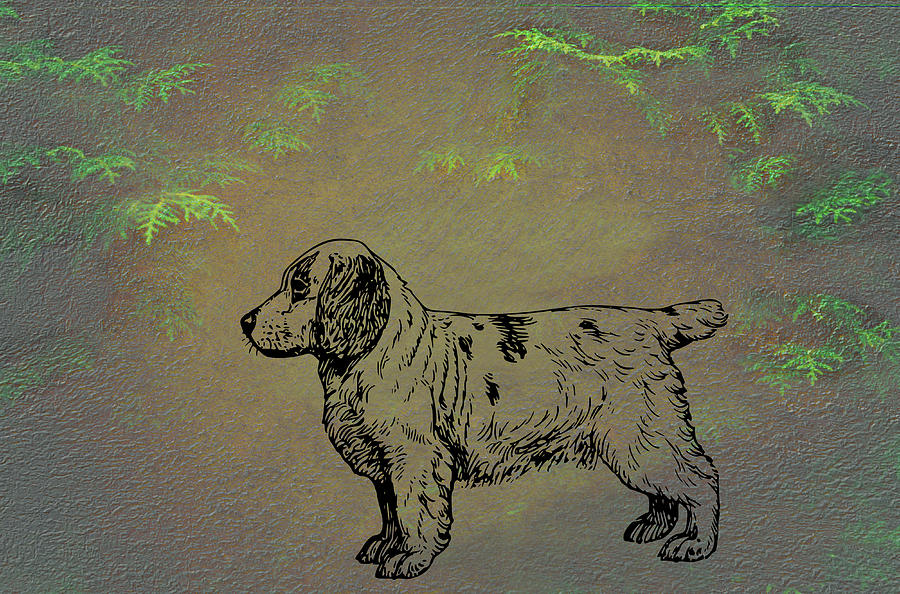 Clumber Spaniel Mixed Media by Movie Poster Prints