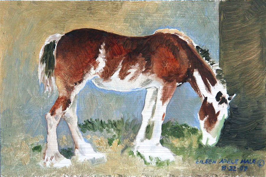 Horse Painting - Clydesdale Colt PAD by Eileen Hale
