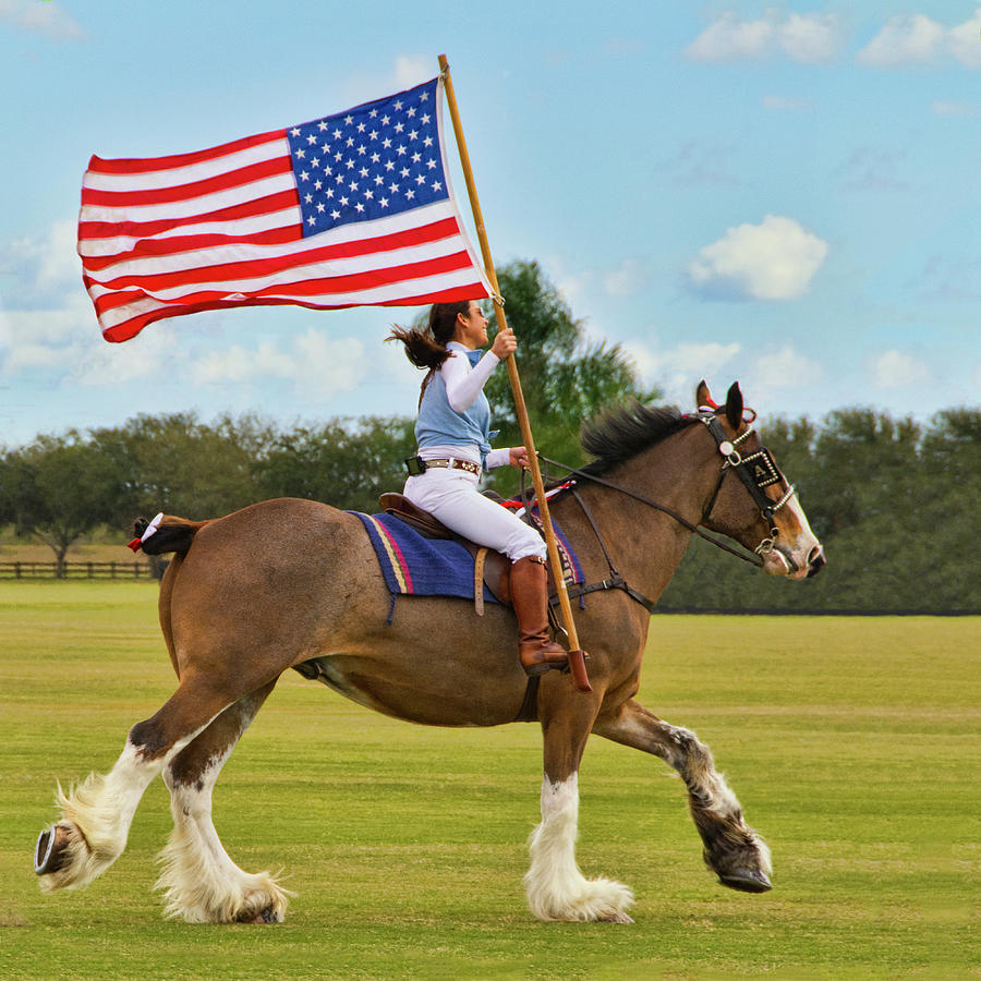 Clydesdale, Rider, and U S Flag Photograph by Mitch Spence