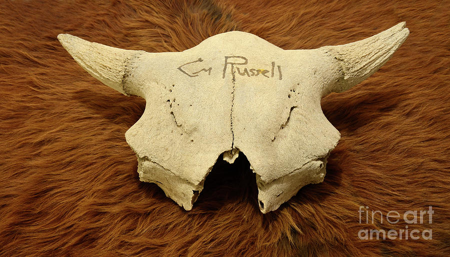 CM Russell Buffalo Skull Photograph by Bob Christopher