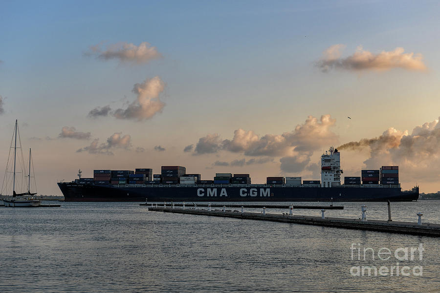 Cma Cgm Orca Photograph by Dale Powell