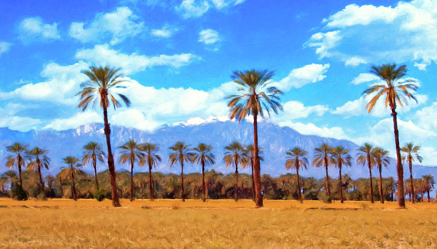 Coachella Date Palms Painting by Sandra Selle Rodriguez