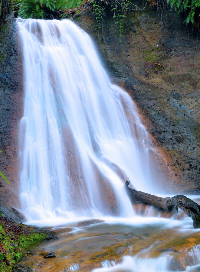 Coal Creek Falls Photograph by Brian OKelly