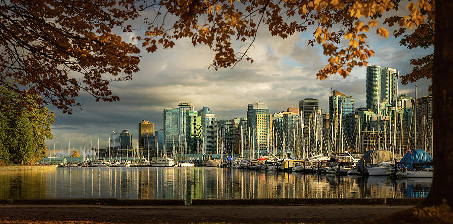 Coal Harbor view in Autumn Photograph by Peter V Quenter