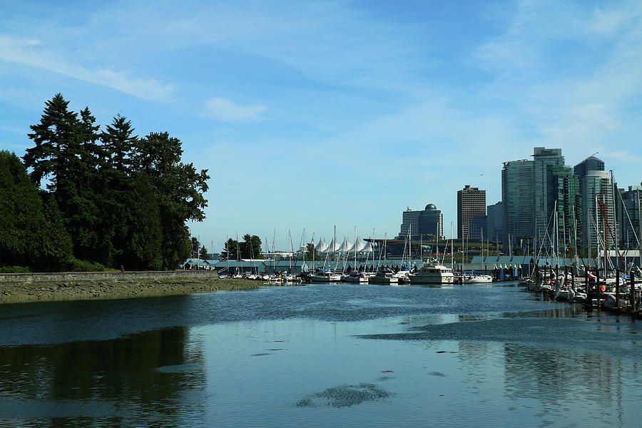 Coal Harbour And Canada Place Photograph by Christiane Schulze Art And Photography